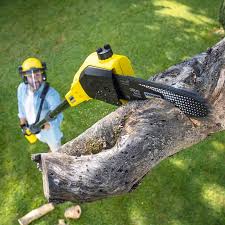 Best Lawn Irrigation Installation and Maintenance  in Demarest, NJ